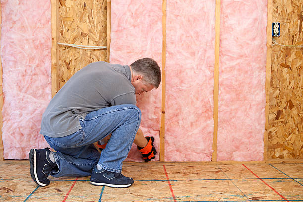 Best Blown-In Insulation  in Gregory, TX