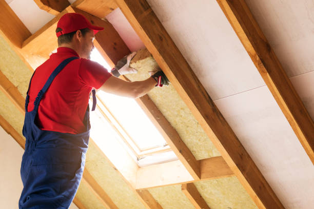 Best Attic Insulation Installation  in Gregory, TX